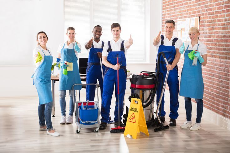 Professional cleaning advice feature
